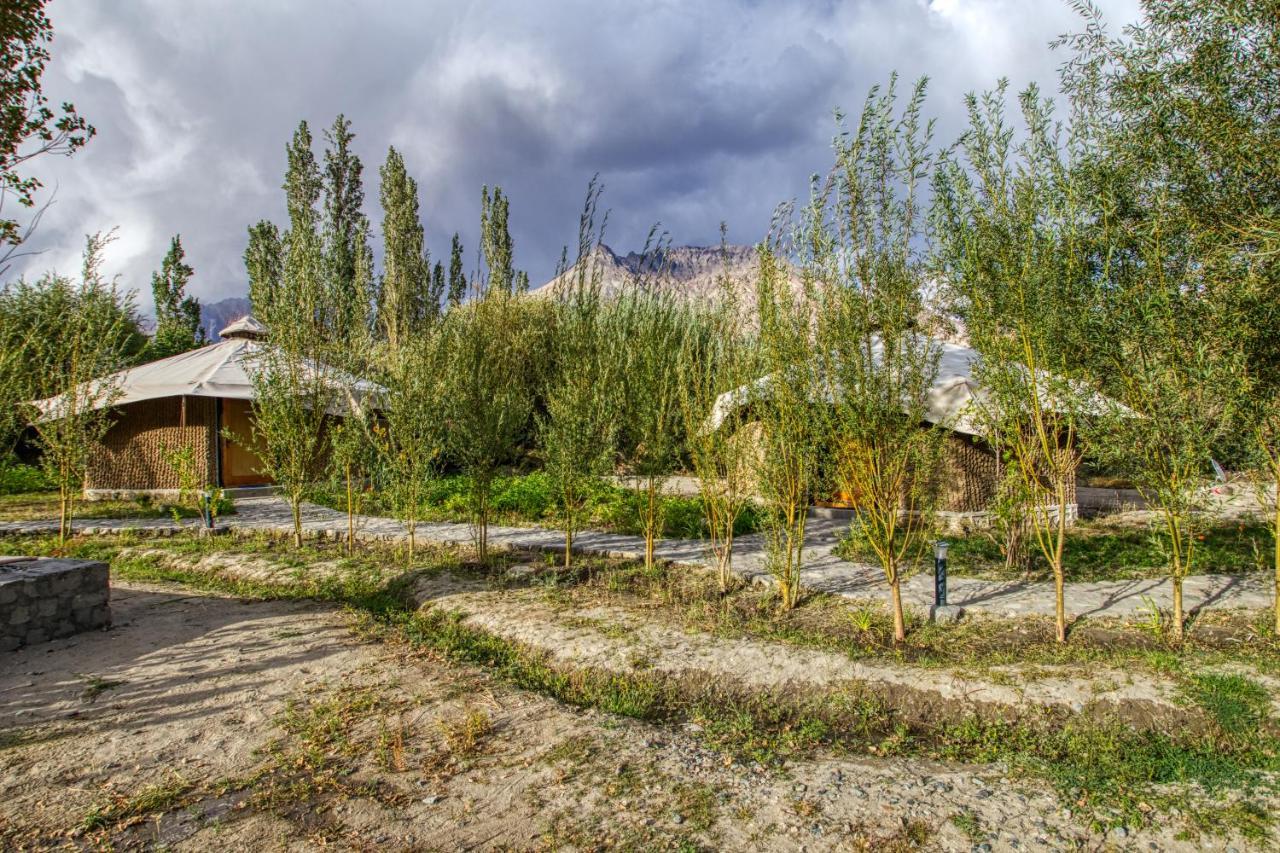 Chalet Seabuckthorn - Hunder Hundar المظهر الخارجي الصورة