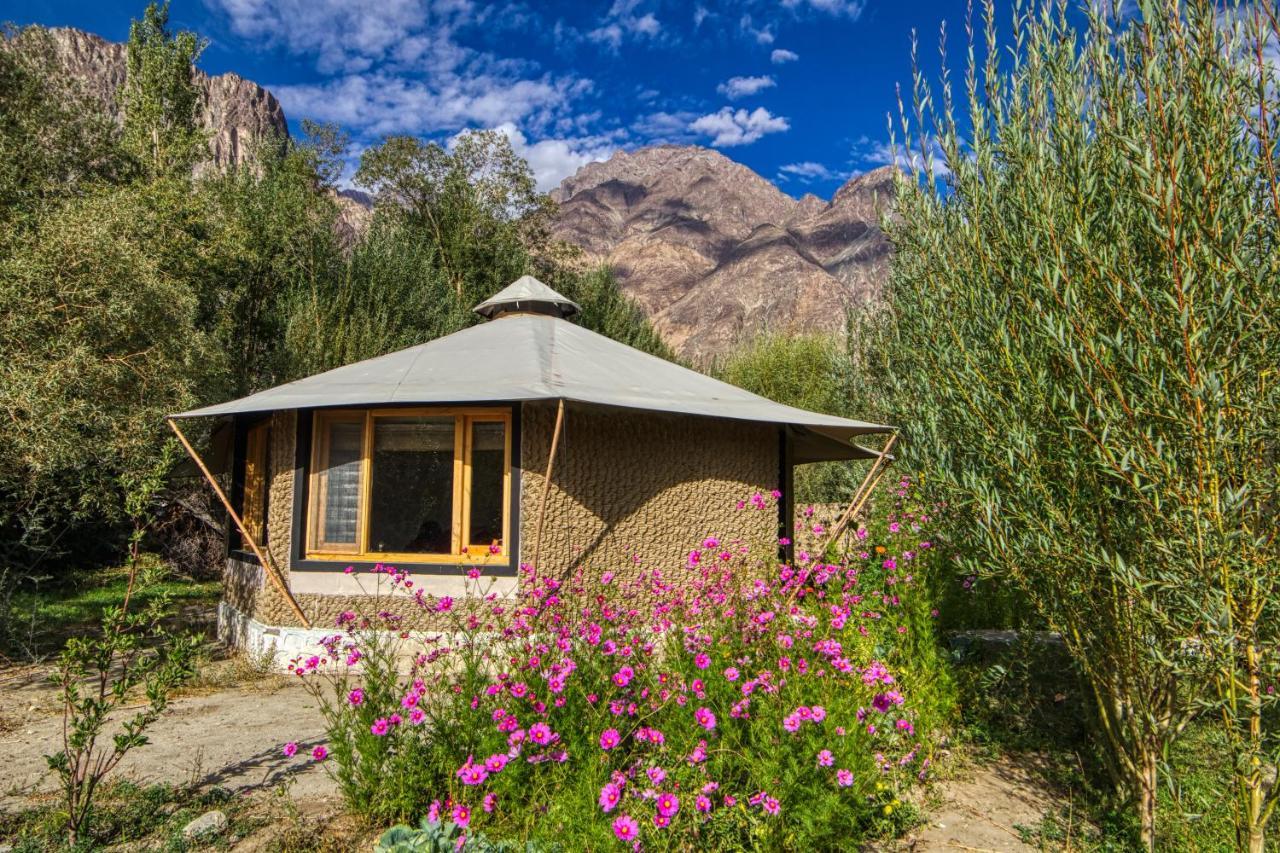 Chalet Seabuckthorn - Hunder Hundar المظهر الخارجي الصورة
