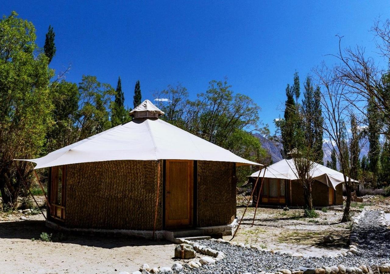 Chalet Seabuckthorn - Hunder Hundar المظهر الخارجي الصورة